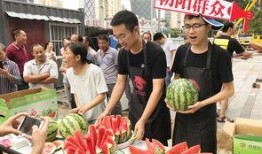 北京吃瓜的群众,吃瓜群众的北京生活剪影