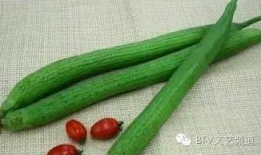 顺治吃八爪瓜,一段宫廷秘史