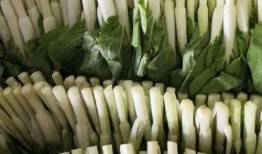 团播吃瓜,揭秘娱乐圈幕后故事