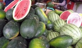 被吃瓜的人,揭秘被吃瓜人生的酸甜苦辣