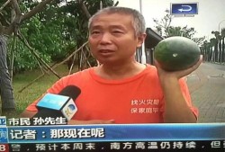 山东吃瓜热门事件,一场吃瓜群众的狂欢与反思
