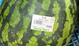 南韩吃瓜,揭秘南韩吃瓜背后的故事