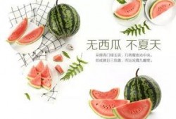口嗨吃瓜,揭秘网络热议背后的真相与笑料
