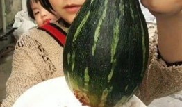 吃瓜一整个,揭秘吃瓜一整个的幕后故事