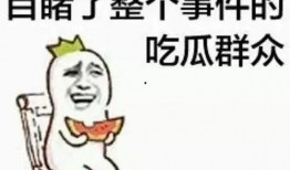 带你吃瓜金小鸡,金小鸡带你领略带你吃瓜的欢乐时光