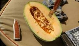 吃瓜的瓜全部作品,瓜界风云录