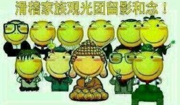 吃瓜语言大全,揭秘娱乐圈那些事儿