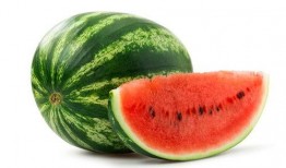 凉棚底下吃瓜图片大全,共享瓜果乐时光