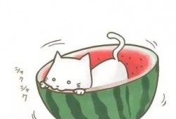 吃瓜群众图片大全卡通,趣味横生的社会百态缩影