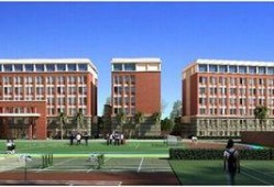 深圳国际高中吃瓜,校园吃瓜文化一探究竟