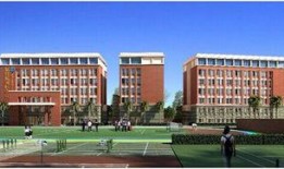 深圳国际高中吃瓜,校园吃瓜文化一探究竟