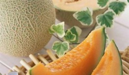 大雁吃哈密瓜图片,共享丰收喜悦的生态瞬间