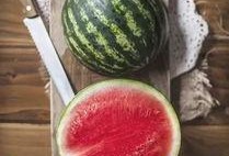 吃瓜年龄,揭秘吃瓜年龄的趣味世界