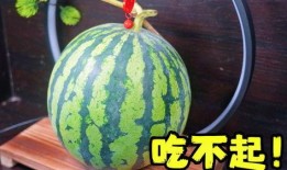 有的瓜吃不起,揭秘“吃不起瓜”背后的社会现象