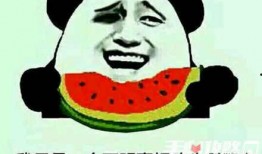 吃瓜转账梗,揭秘网络流行语背后的趣味与智慧