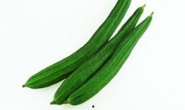 邢台民政局吃瓜,揭秘背后真相与反思”