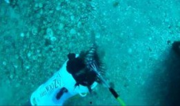 吃货吃瓜小视频,吃货们的美食盛宴