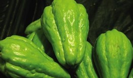 佛手瓜素吃怎么吃,清新鲜美，健康养生