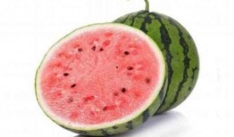 孩子冬天吃麒麟瓜好吗,冬天孩子吃麒麟瓜的好处与注意事项