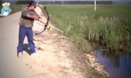 钓鱼吃瓜小说,揭秘钓鱼吃瓜背后的江湖风云