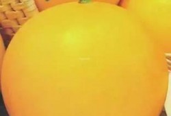 美洲蜜瓜怎么吃,探索美味新吃法