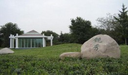 保定竞秀公园吃瓜