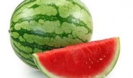 秋季吃瓜的功效,吃瓜也能润燥养颜