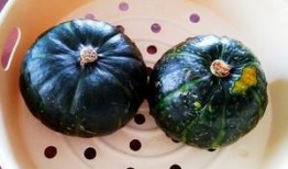 贝贝瓜酒店怎么吃,尽享舌尖上的美味之旅