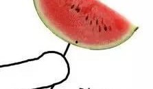 吃瓜真相,娱乐圈背后的那些事儿