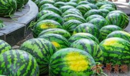 51吃瓜fun吃瓜网江苏师范大学,51吃瓜fun吃瓜网带你揭秘校园风云