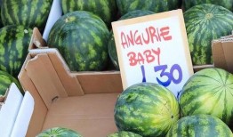 吃瓜谁又破防,揭秘娱乐圈最新风波背后的真相