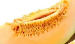 吃瓜视频蜜瓜,揭秘吃瓜视频中的甜蜜诱惑