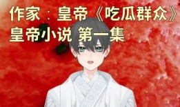 小说吃瓜系列,揭秘娱乐圈背后的秘密与真相