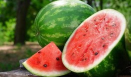 止咳瓜怎么吃,止咳瓜的多样食用方法与营养解析