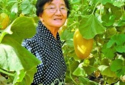 管旭吃瓜,揭秘娱乐圈幕后真相