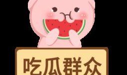 吃瓜群众梗图,吃瓜群众视角下的娱乐圈风云变幻