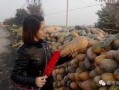 瓜姐吃襄阳,探寻千年古城的独特风味