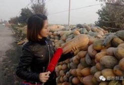 瓜姐吃襄阳,探寻千年古城的独特风味