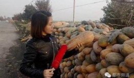 瓜姐吃襄阳,探寻千年古城的独特风味