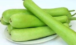 瓠瓜不能煮熟吃,揭秘烹饪误区与安全知识