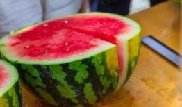 吃瓜鱼牌,探寻美食背后的故事与魅力