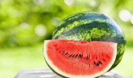 哪里是吃瓜网站,网络舆论的风向标