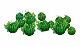 阿崔吃瓜,揭秘娱乐圈背后的那些事儿