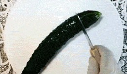 小鸭吃瓜表情包gif,萌态可掬，欢乐无限