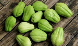 佛手瓜素吃怎么吃,清新鲜美，健康养生