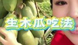 vlog夏天解锁吃瓜