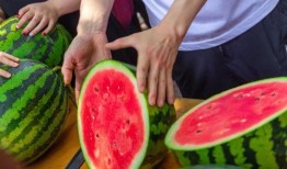 吃瓜技术学院,揭秘网络舆论背后的秘密与技巧