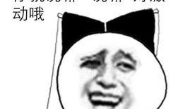 瓜娃子吃鸡主播