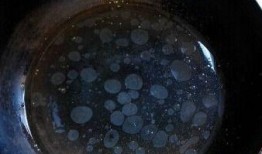 矮瓜和紫菜可以一起吃吗,健康搭配，美味共享