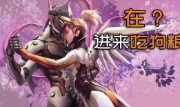 守望先锋吃瓜,吃瓜群众揭秘英雄背后的故事